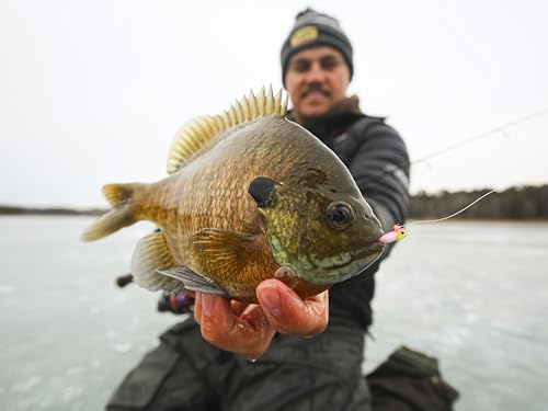 Northland Tackle Rigged Tungsten Pin Fry Ice Fishing Jig with Minnow Fry Body, 2 Pre-Rigged Jig Heads & 3 Extra Ice Fishing Plastics, Tungsten Jig Heads for Panfish, 1/28 Oz, Woodtick