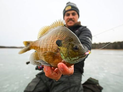 Northland Tackle Rigged Tungsten Pin Fry Ice Fishing Jig with Minnow Fry Body, 2 Pre-Rigged Jig Heads & 3 Extra Ice Fishing Plastics, Tungsten Jig Heads for Panfish, 1/28 Oz, Woodtick
