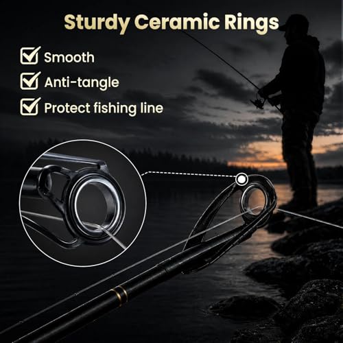 FishTrip Fishing Rod Eyelet Repair Kit 60Pcs/160Pcs Fishing Rod Repair Kit 12 Sizes Fishing Pole Ceramic Guides Rings Replacement Kit - color: B_160pcs