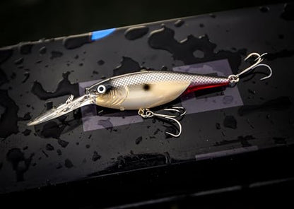 Berkley Flicker Shad Fishing Lure, Rainbow Trout, 5/16 oz, 2 3/4in | 7cm Crankbaits, Size, Profile and Dive Depth Imitates Real Shad, Equipped with Fusion19 Hook - color: Rainbow Trout, size: 2 3/4in - 5/16 oz