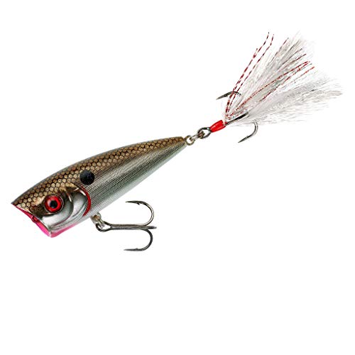 Booyah Boss Pop Topwater Chugger/Popper Fishing Lure - color: Arkansas Shiner, size: 2 inch