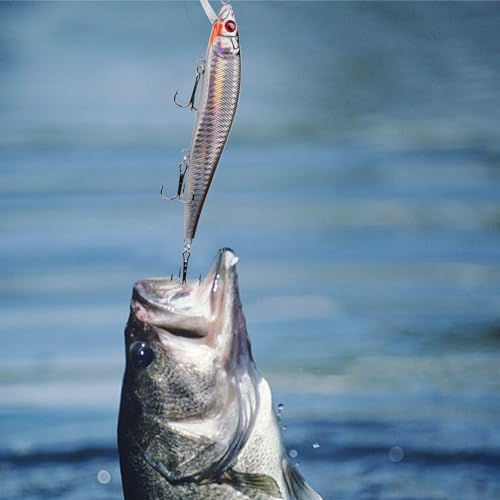 Saltwater Fishing Lure Kit Surf Fishing Popper Minnow Lures Jerkbait Hard Bait Poppers Lure for Striped Plugs Diving Inshore Offshore Ocen Fishing Mackerel Tarpon Barracuda 6PCS/12PCS - color: 12PCS
