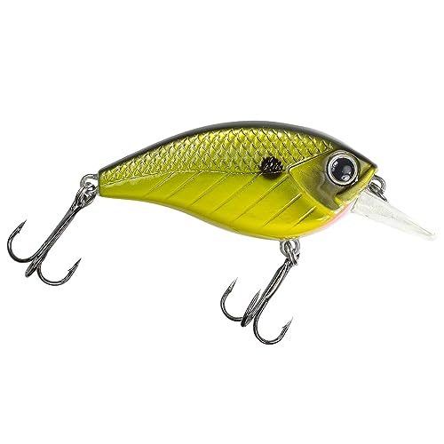 Lunkerhunt Impact Jolt | Crankbait, Deep Diving Hard Bait Fishing Lure | Flat Sided Square Bill, Clear Water, Fresh Water Lure for Bass Fishing, Trout and Spike, Crappie - color: Shock Yellow