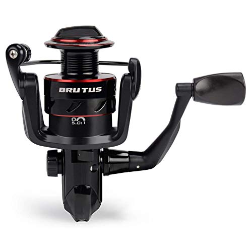 KastKing Brutus Spinning Reel, Freshwater Spinning Fishing Reels, Graphite Frame, CNC Aluminum Spool, 5.2:1 Gear Ratio, 4+1 Ball Bearings - style: 2000