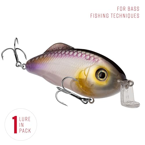 Strike King Hybrid Hunter Shallow Jr. Fishing Lure, Shallow Diving Crankbait, 90-Degree Bill, 3D Eyes, Loud Rattle, Dives 1 to 3-Feet,Size 4 & 6 Treble Hooks - color: Clearwater Minnow, size: 1/2 oz