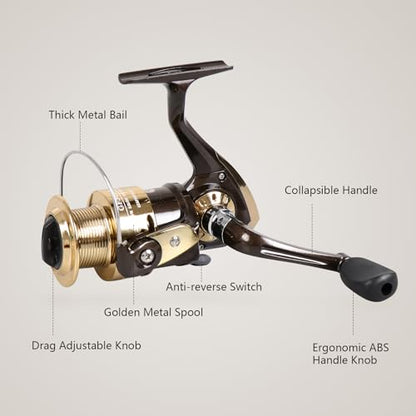 Spinning Fishing Reel for Freshwater Saltwater Fishing, Anti-Reverse with Front-Adjustable Drag - style: Gf1000 ( 3 Ball Bearings)