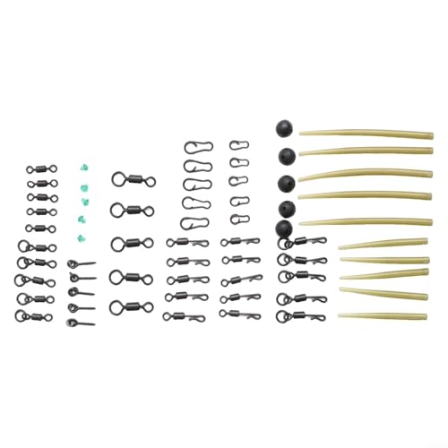 Carp Fishing Tackle Box with 301PCS Terminal Tackles, Stainless Steel Hooks Swivels Clips Beads Kit for Freshwater Saltwater Bass Trout Walleye Rig Setup