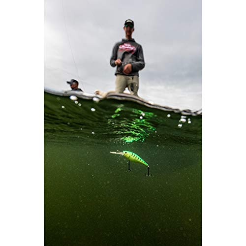 Berkley Flicker Shad Fishing Lure, Black Gold, 1/2 oz, 3 1/2in | 9cm Crankbaits, Size, Profile and Dive Depth Imitates Real Shad, Equipped with Fusion19 Hook - color: Black Gold, size: 3 1/2in - 1/2 oz