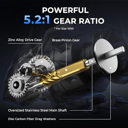 KastKing Spartacus II Plus Spinning Reel – IPX5 Waterproof Freshwater/Saltwater Fishing Reel, 22LB Drag, 5.2:1 Gear Ratio, 7+1 Stainless Steel Bearings, Instant Anti-Reverse, Anodized Aluminum Spool - size: 1000