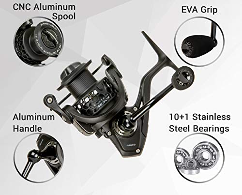 Sunrise Angler Scout 3000 Freshwater Spinning Reel | Lightweight 8.6 oz Carbon Fiber Body | Triple Disc 24+ lbs Max Drag | 10+1 Stainless Steel BB | 5.2:1 Gear Ratio | EVA Grip