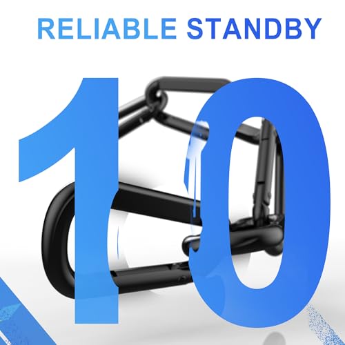 Heavy Duty Carabiner Clip, Steel Carabiners 1100lbs 3" D Shaped Spring Hook Small Clips for Hammocks, Hiking, Keychains, Outdoors and Gym, Dog Leash and Key Ring - style: 10PCS 3'' Clips