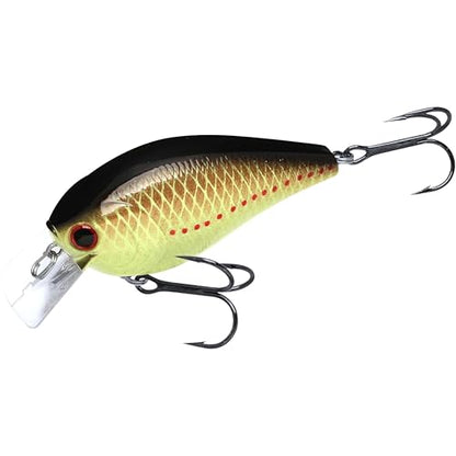 LUCKY CRAFT LC 2.5 Silent Crankbait Fishing Lures, 2-3/8” Squarebill Crankbait, Bass Lures, Floating 4ft Depth Hard Bait, Champion Freshwater Fishing Gear and Tackle Box Accessories - color: 403 Copper Perch