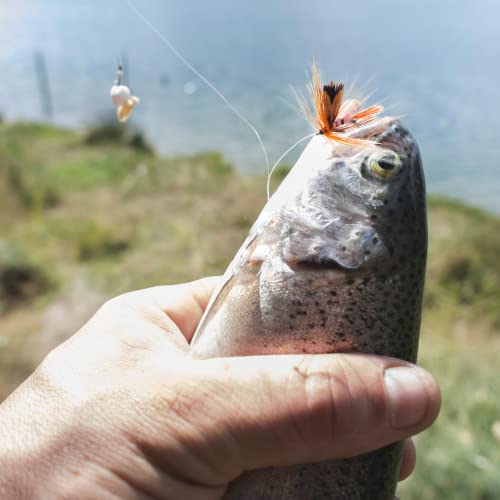 Fly Fishing Poppers Fly Fishing Dry Flies Topwater Fishing Lures Bass Popper Flies Bugs Lures Panfish Bait Fly Trout Bobber Flies Kit for Bass Trout Panfish Bluegill Salmon - color: B: 12pcs Fly Fishing Flies Kit