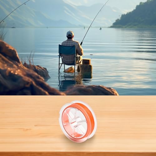 8-Strand Polyester for Braided Fly Line Backing 20lb or 30lb 50m Dacron with Pre-Tied Loop for Trout Bass and Freshwater Fishing, High Strength - size: C