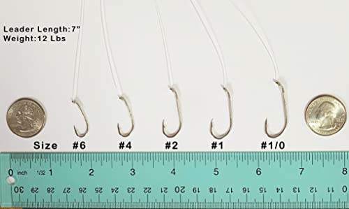 Angler's Grotto Snelled Offset Baitholder Hook | 10 Count Per Pack | Freshwater Saltwater Fishing Hooks | High Carbon Steel Extra Strength | Size #6#4#2#1#1/0 - size: Size 4, 10 Count