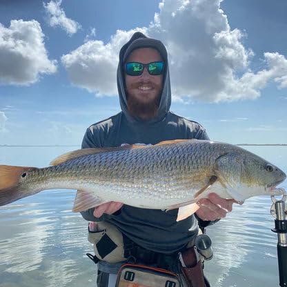 A.M. Fishing Curly Tail Jerkshad 4 Inch Soft Baits Garlic Infused,– 8 Pack – Saltwater & Freshwater Fishing Lures for Bass, Redfish, Snook, and Trout - color: Baby Trout