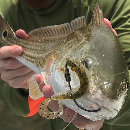 A.M. Fishing Curly Tail Jerkshad 4 Inch Soft Baits Garlic Infused,– 8 Pack – Saltwater & Freshwater Fishing Lures for Bass, Redfish, Snook, and Trout - color: Baby Trout
