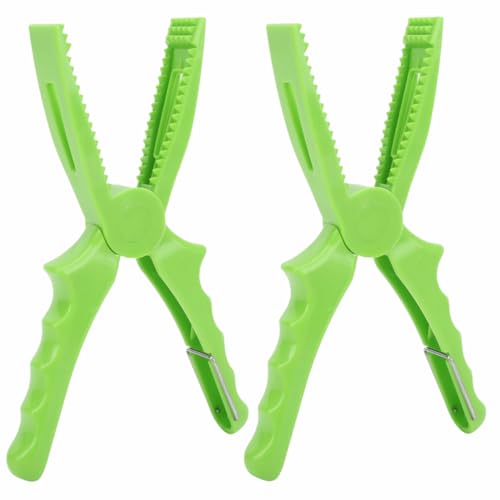 2 Pcs Fishing Pliers 8.1 Inch – ABS Fish Grip Clamp with Ergonomic Handle and Lanyard for Saltwater and Freshwater Fishing, Lightweight Portable Tackle Tool - color: Green