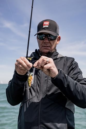 Strike King Hardliner Fishing Lure, Flat Sided Crankbait, Circuit Board Lip, Extra Tight Wobble, Size 4 Treble Hooks - color: Baby Carp