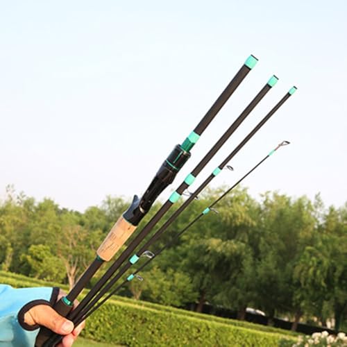 Spin & Casting Rods, Strong Carbon&Glass Composite Fishing Rod with Stainless Steel Line Guides for Bass, Trout, Panfish, Catfish(POLISHED SPIN 1.65M)