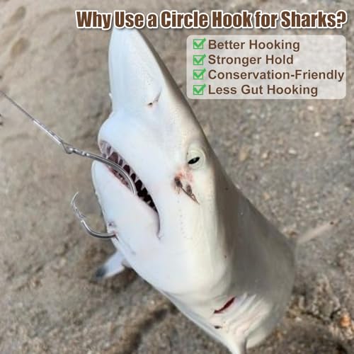 2 Pack Pre-Tied Shark Fishing Hook Rigs Heavy Duty Stainless Leader Wire and Big Game Circle Hooks 14/0 16/0 18/0 Ideal for Deep Sea Fishing Shark Tuna Halibut - size: 16/0 - 2 PCS