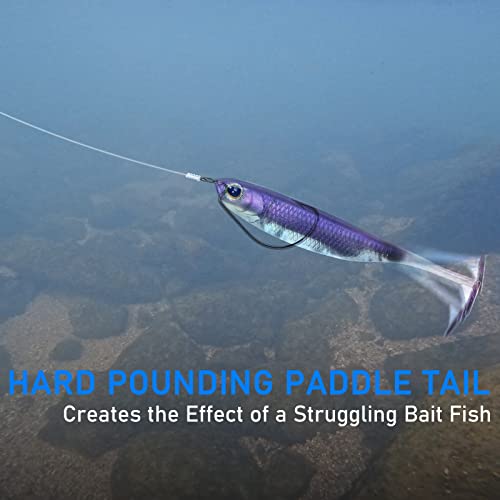Dr.Fish Paddle Tail Swimbaits, Soft Fishing Lures for Bass Fishing 2.75-4.75 Inches, Freshwater & Saltwater Soft Plastic Baits Swim Shad Bait Minnow Lures Drop Shot - color: Purple, size: 4.75"-5 Pack