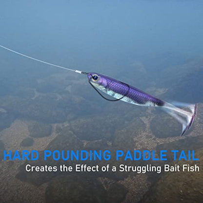 Dr.Fish Paddle Tail Swimbaits, Soft Fishing Lures for Bass Fishing 2.75-4.75 Inches, Freshwater & Saltwater Soft Plastic Baits Swim Shad Bait Minnow Lures Drop Shot - color: Purple, size: 3.06"-6 Pack