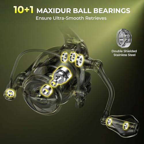 KastKing Sharky Spinning Reel – 5.2:1 & 6.2:1 Gear Ratios, Carbon Fiber Drag 33–39.5LB, 10+1 Stainless Bearings, Lightweight Nylitech Body, Oversize Shaft, for Saltwater & Freshwater - color: 6.2:1-Sharky X, size: 5000