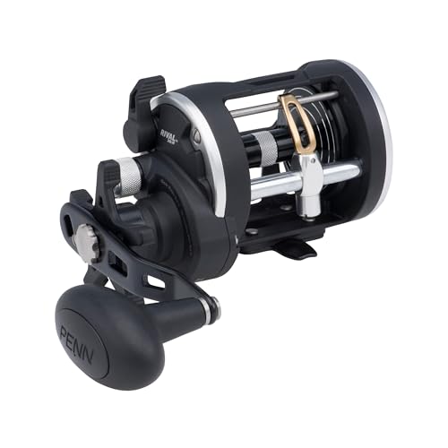 PENN Rival Level Wind Conventional Fishing Reel - size: 20, style: Old Model