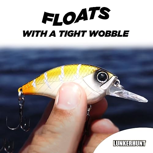 Lunkerhunt Impact Jolt | Crankbait, Deep Diving Hard Bait Fishing Lure | Flat Sided Square Bill, Clear Water, Fresh Water Lure for Bass Fishing, Trout and Spike, Crappie - color: Shock Yellow