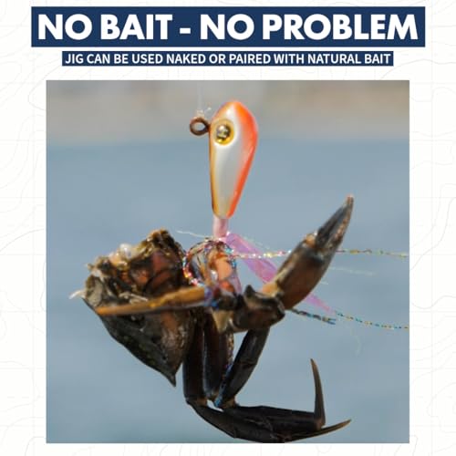 Hogy Groundfish Biki Jig, Jig Head for Fishing | VMC Barbarian Hook | Saltwater & Freshwater Fishing Lures for Tog, Fluke, Sea Bass, Cod | Swim & Slow Jig Fishing Bait for Shallow Waters - size: 1.6 oz