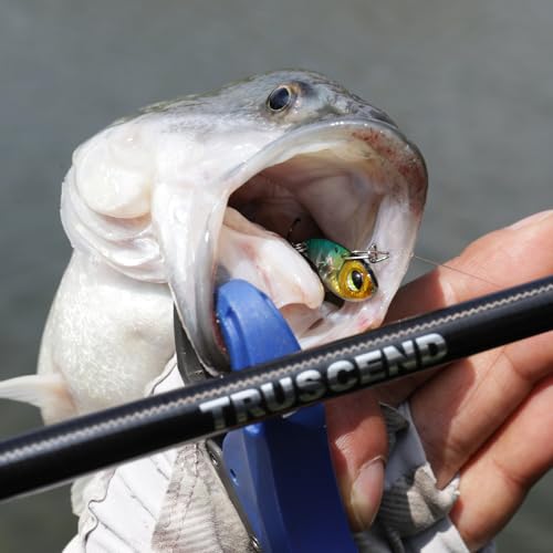 TRUSCEND Vibespinner Easy Catch Fishing Lures with BKK Hooks, Tail Spinner Baits with 4 Actions, Vibrating Swimming Flashing & Jigging for More Bites, Spoon Lures for Bass Trout Crappie Walleye Pike - color: C2-1/8oz-1"