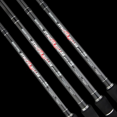 BERRYPRO Light Surf Spinning Rod Striper Fishing Rod Striped Bass surf Rod (9'/9'6''/10'6''/11'/12') - style: 9'6''-medium (10-20lbs)