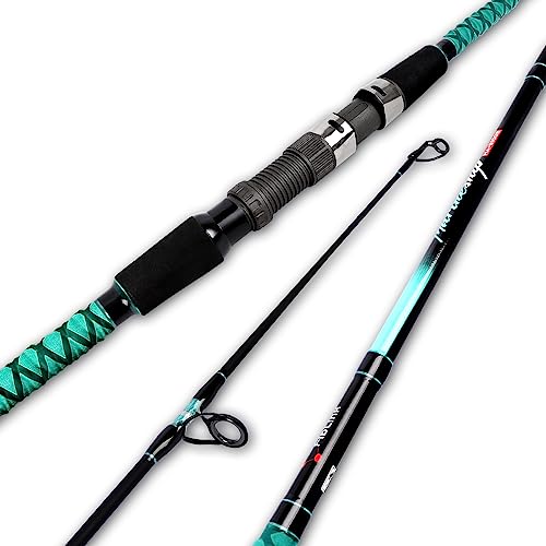 Fiblink Surf Fishing Rod Portable Travel Surf Spinning Rod 2 Piece/3 Piece/4 Piece Carbon Fiber Saltwater Fishing Rod 9'/10'/12'/13'/15' - style: 12'-spinning-2pc