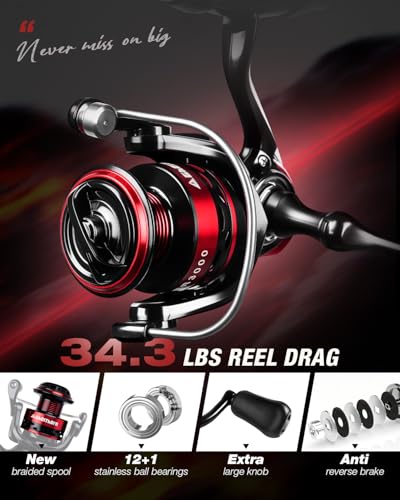 Ghosthorn Fishing Rod and Reel Combo Collapsible Fishing Pole Telescopic Fishing Rod Combo Travel Portable Fishing Set Carbon Fiber with Carrier Bag for Saltwater Freshwater - size: 2.4m/8ft, style: Fishing Rod and Reel（no Line & Lure）