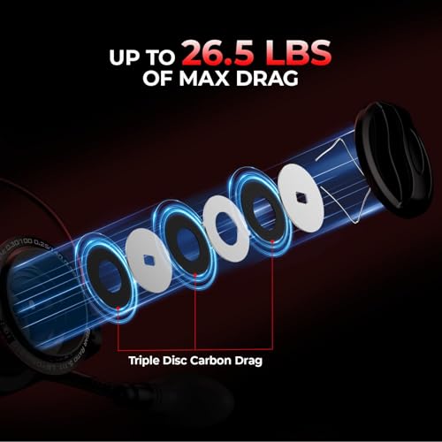 KastKing Sharky Baitfeeder III Spinning Reel 10+1 Shielded Stainless Steel BB - Carbon Fiber Drag for Live Liner Bait Fishing Action - style: 2000