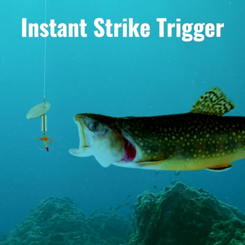 Trout Spinnerbait Lures Inline Rooster Tail Fishing Kit Brass Spinner Baits with Smooth Rotation Flash Blade for Bass Pike Crappie Saltwater Freshwater Lake River 360 Balance Hook - color: 1/32 oz