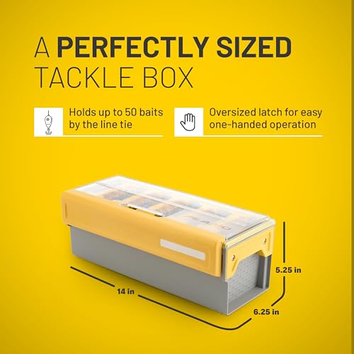 Edge Frog Box - style: Frog Box