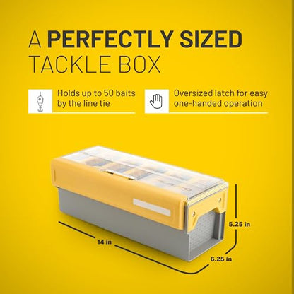 Edge Frog Box - style: Frog Box
