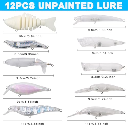 Blank Fishing Lure Kit,Unpainted Popper Plug Lures DIY Crank Bait Set Fishing Pliers Treble Hooks 3D/4D Lure Eyes Bait Sticker Split Rings,Fish Tackle Accessories Kits - color: Lure Kit-249pcs