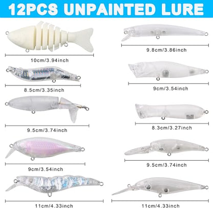 Blank Fishing Lure Kit,Unpainted Popper Plug Lures DIY Crank Bait Set Fishing Pliers Treble Hooks 3D/4D Lure Eyes Bait Sticker Split Rings,Fish Tackle Accessories Kits - color: Lure Kit-249pcs