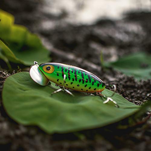 Arbogast Jitterbug Topwater Bass Fishing Lure - Excellent for Night Fishing - color: Fire Tiger, size: 2 1/2" 3/8 oz