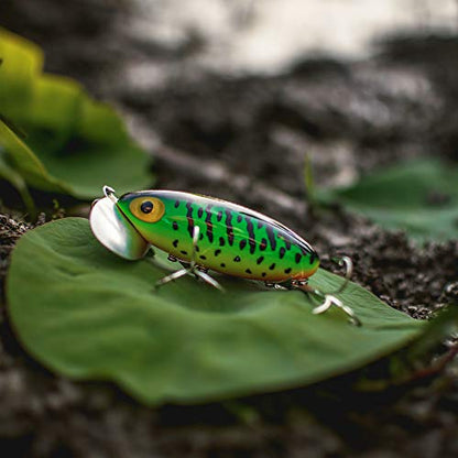 Arbogast Jitterbug Topwater Bass Fishing Lure - Excellent for Night Fishing - color: Fire Tiger, size: 2 1/2" 3/8 oz