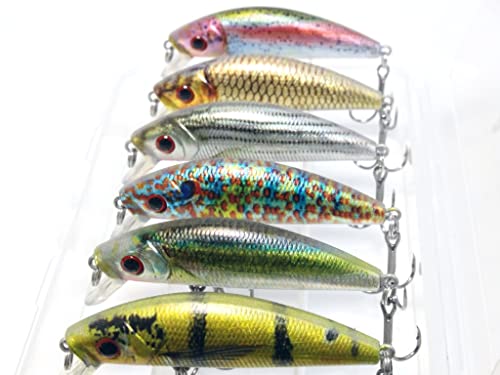 Minnow Crankbait for Bass Fishing Bass Lure Jerkbait Fishing Lures and Tackle Box - color: HM219KB