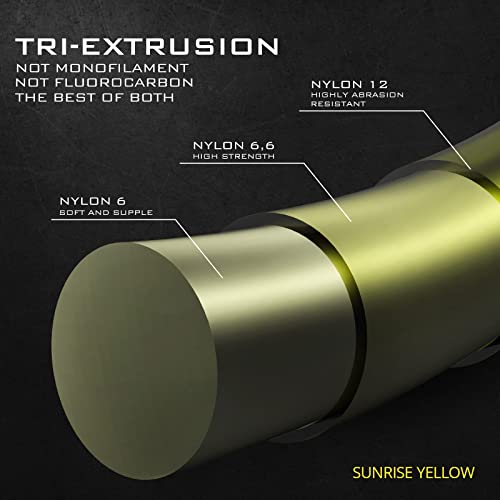 KastKing TriPolymer Advanced Monofilament Fishing Line, Low Light Refraction, Super Smooth, Highly Abrasion Resistant, Triple Cross Head Extrusion Process Fishing Line - color: SUNRISE YELLOW, size: 6LB-300Yds
