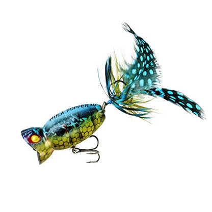 Arbogast Hula Popper 2.0 Topwater Fishing Lure with Feathered Treble Hook and Crackle Pattern Body - color: Blue Kill