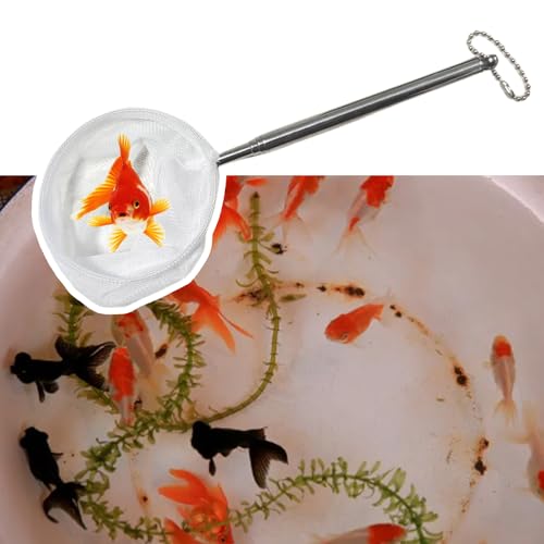 Fishing Landing Net with Telescoping Handle, Fishing Landing Net Freshwater, Bass, Trout Net, Compact Fishing Net for Catching Fish Shrimp and Aquariums Water Plant - color: Generous
