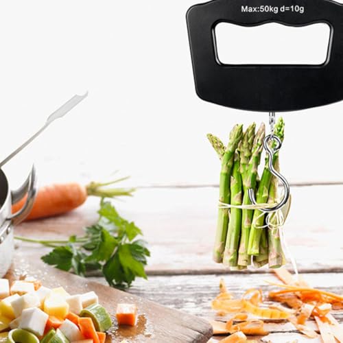 GLEAVI Portable Electronic Fish Scale Digital Handheld 50kg/10g LCD Hanging Luggage Scale for Fishing Travel and Outdoor Weighing