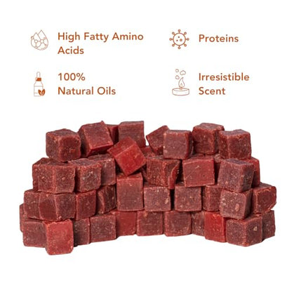 Catfish Pro Catfish Bait - 10oz Bag with 80pcs | Irresistible Scent for Catfish | Mess-Free, Stays On Your Hook When Nothing Else Will | Great for Rod, Reel, Trotline, Jugs & Yoyos Fishing - color: Beef Blood