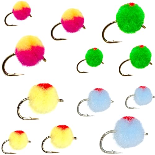Outdoor Planet 12/24 Fly Fishing Flies Kit Fly Assortment, Dry Flies Wet Flies Streamers Nymphs Flies, Fly Fishing Assortment Kit for Bass Trout Salmon Fishing - color: 12 Egg Pack 2